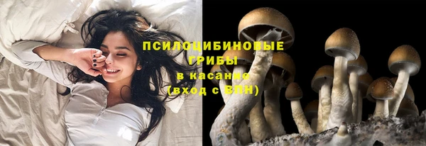 прущий лед Белоозёрский