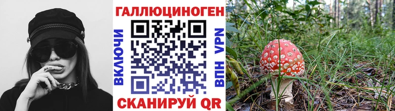 Галлюциногенные грибы мицелий  дарнет шоп  Весьегонск 