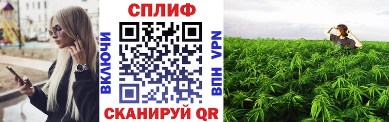 Марихуана THC 21%  Весьегонск 